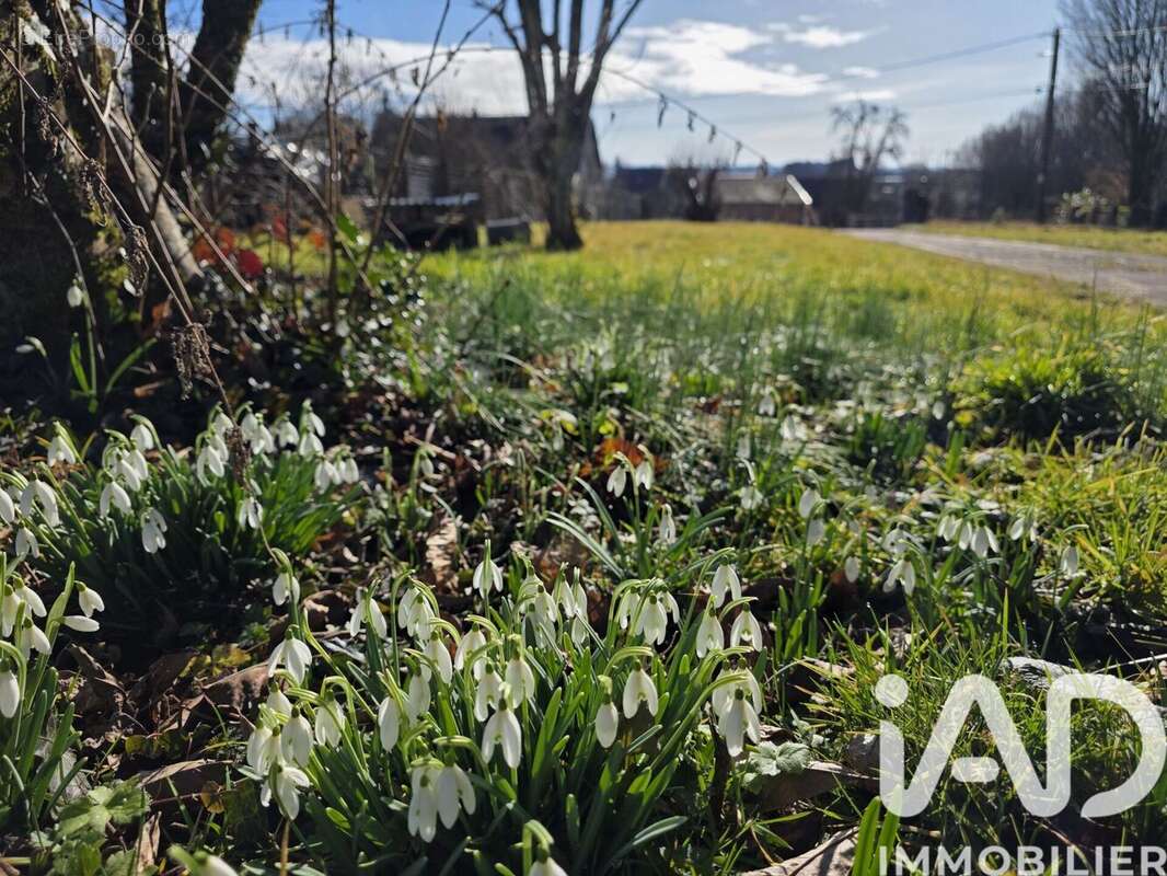 Photo 2 - Appartement à SAINT-GERMAIN