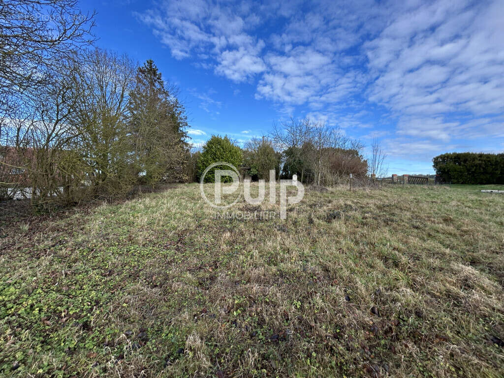 TERRAIN à bâtir - 40m de façade - 1 600m² à Mont-Saint-Éloi - photo 3