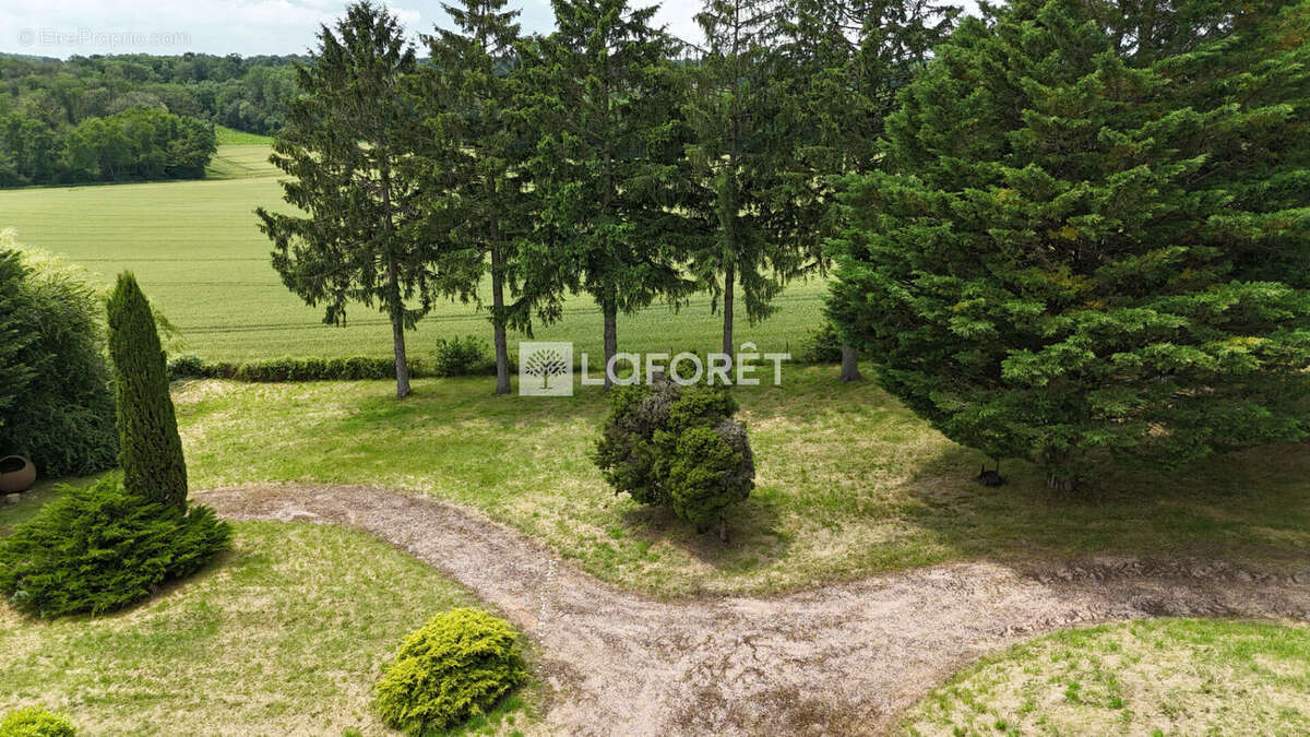 Villa à vendre de 292 m² nichée dans un parc arboré de 4800 m² entre Chalamont et Villars - photo 4