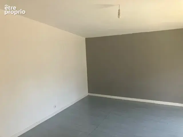 Charmante maison en pierre secteur calme sur 800m2environ - photo 4