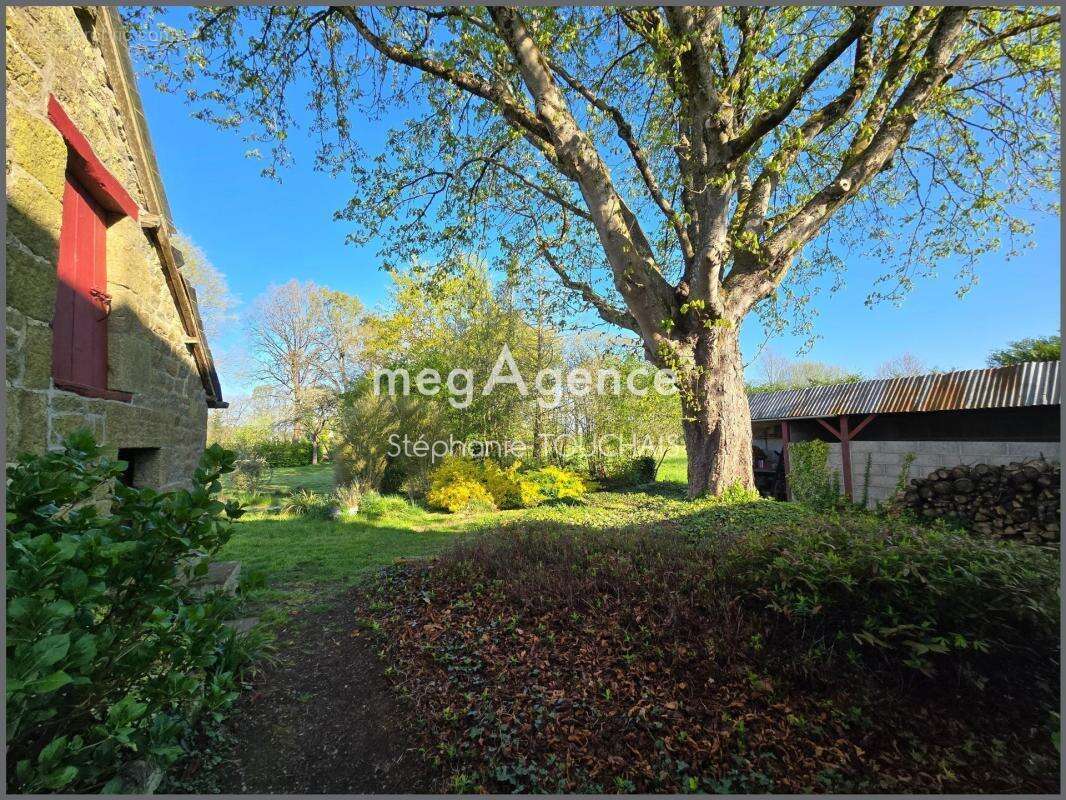 Maison à SAINT-AUBIN-DU-CORMIER