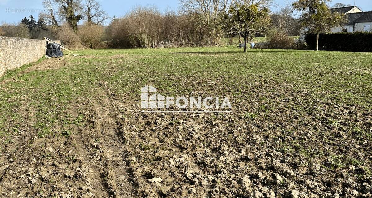 Terrain à SAINS
