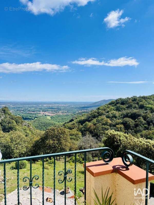 Maison 205 m² à Ceret  - photo 8
