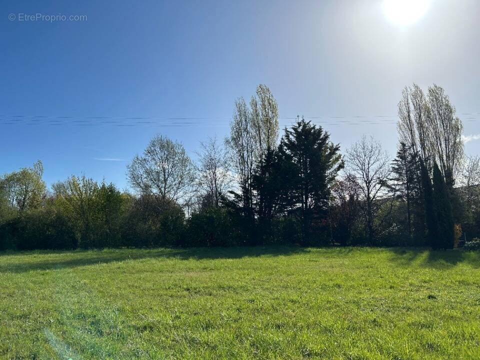 Terrain à RICHELIEU
