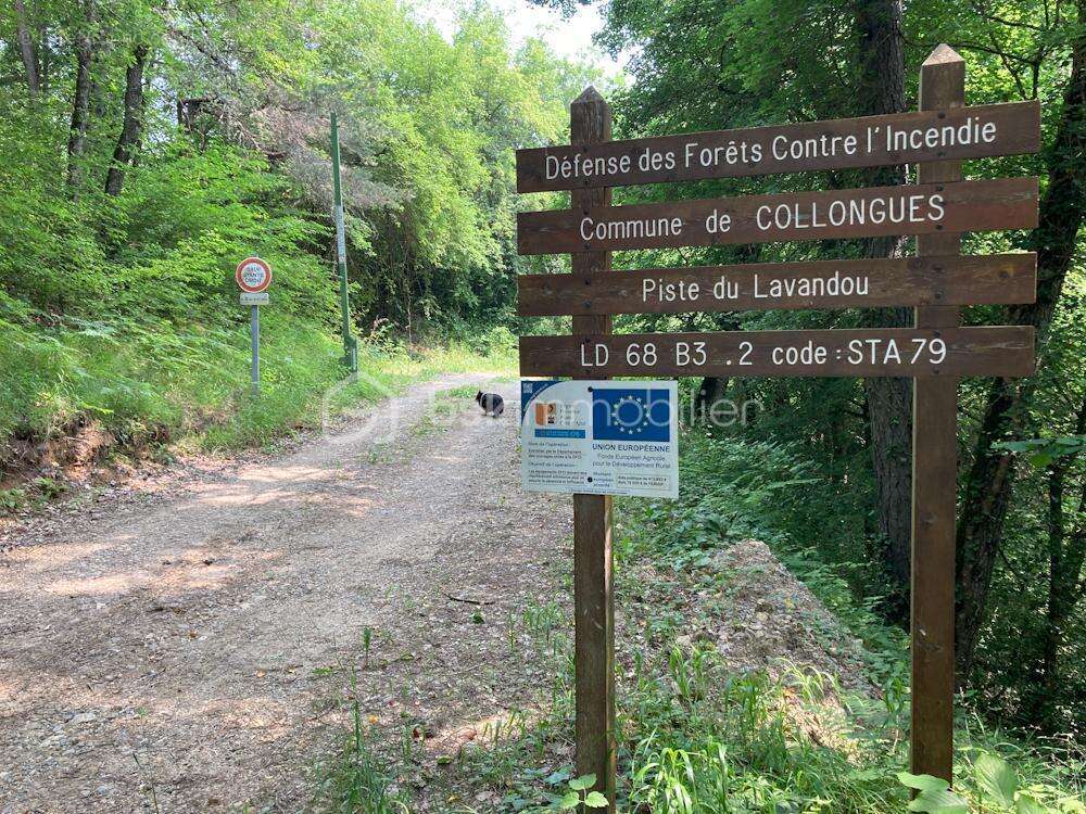 Terrain à COLLONGUES