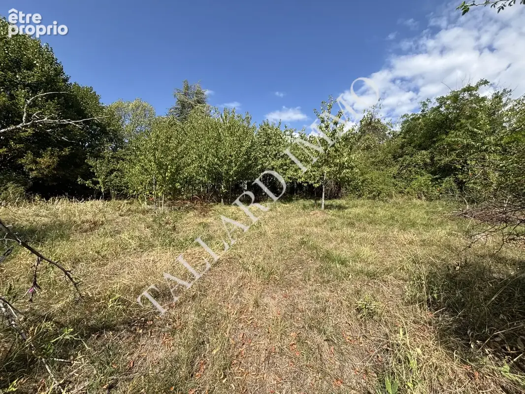 Terrain 1 687 m² à vendre à Tallard (05130) - photo 6