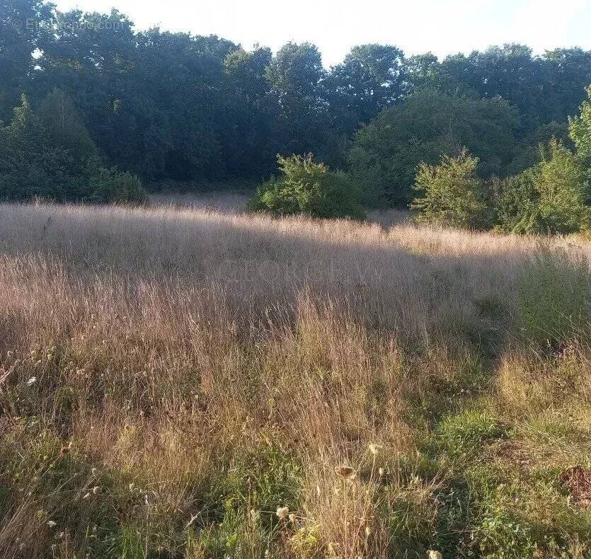 Terrain à CREUTZWALD