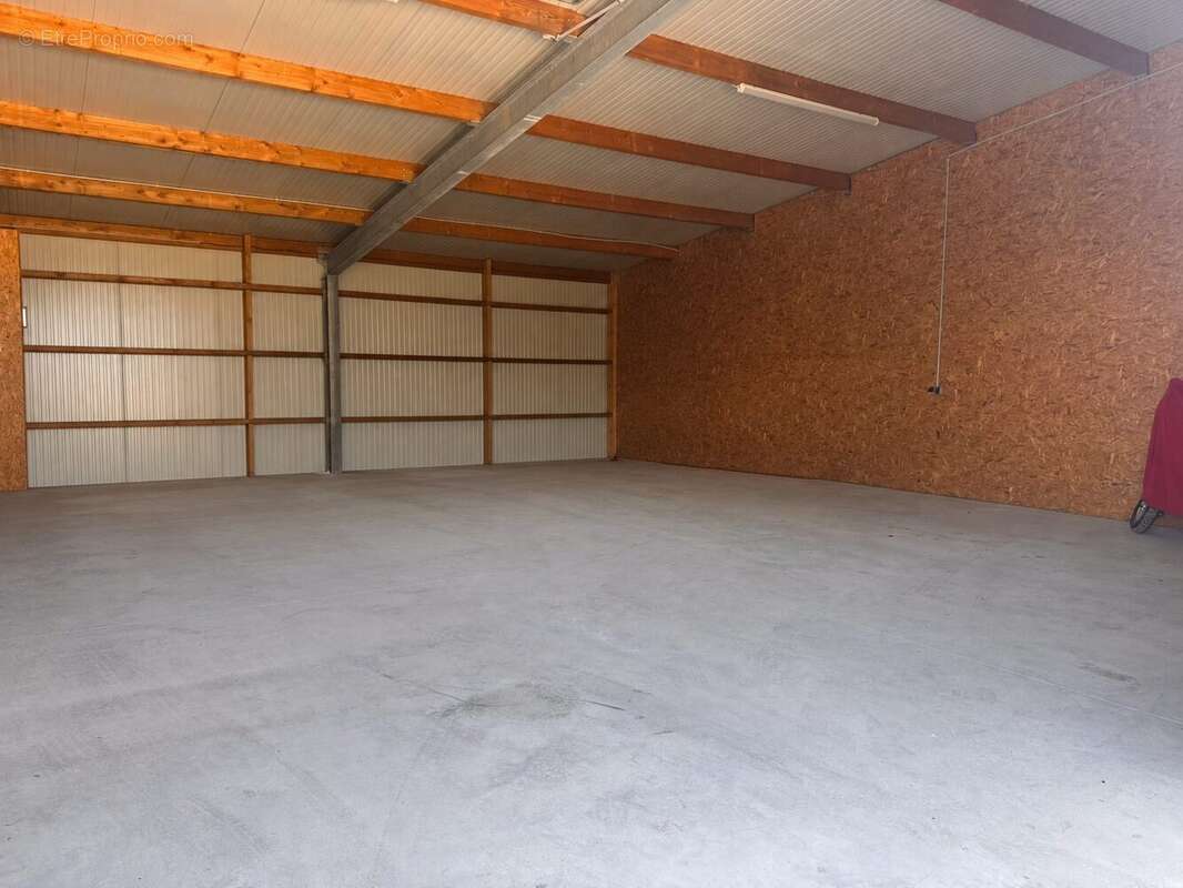 Commerce 172 m² à Ambon  - photo 2