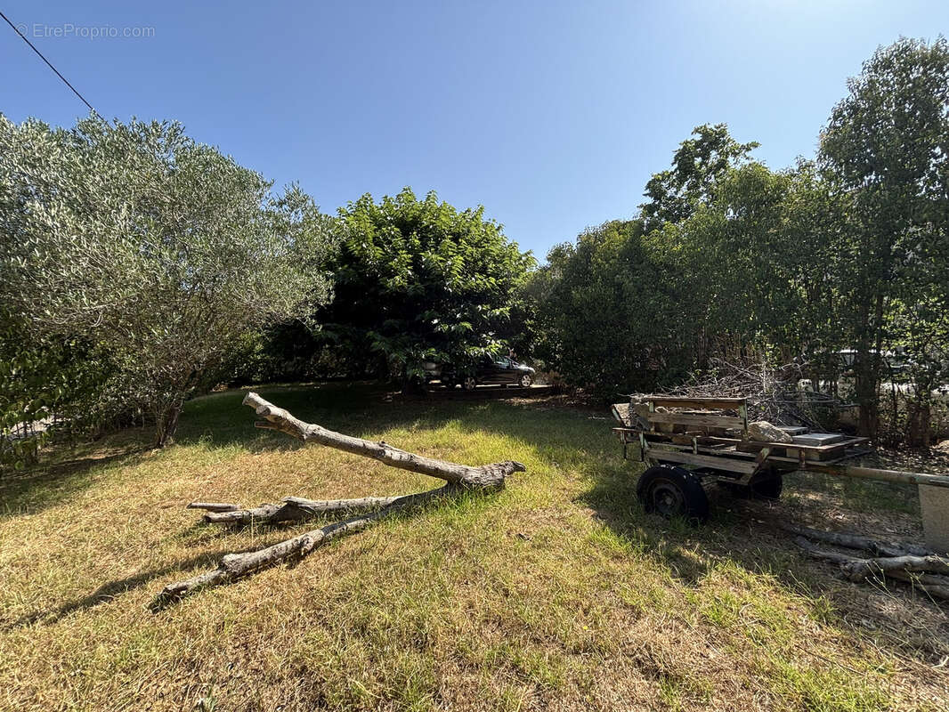 Villa avec plusieurs appartements située dans un quartier calme de Porto Vecchio. - photo 4