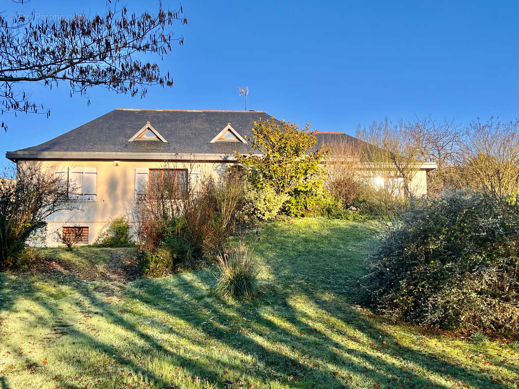 Maison à MONTREUIL-BELLAY