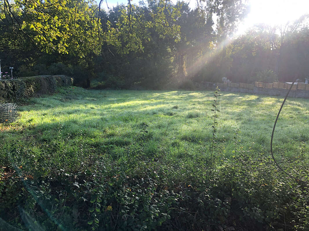 Terrain à SAINTE-FOY