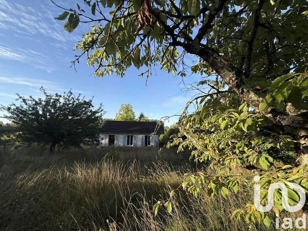 Photo 2 - Maison à SAINT-AUBIN-SUR-YONNE