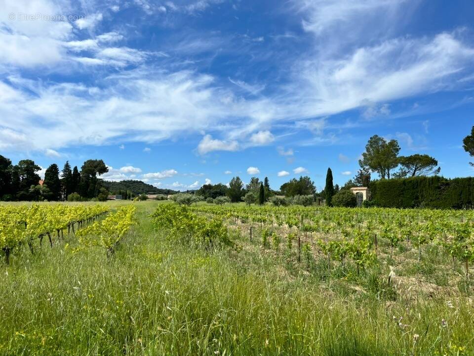 Terrain à DOMAZAN