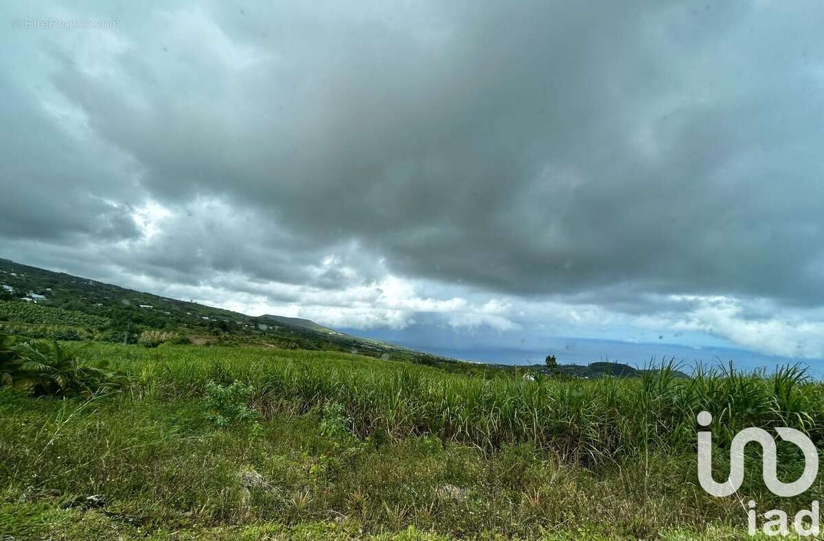 Photo 6 - Terrain à SAINT-JOSEPH