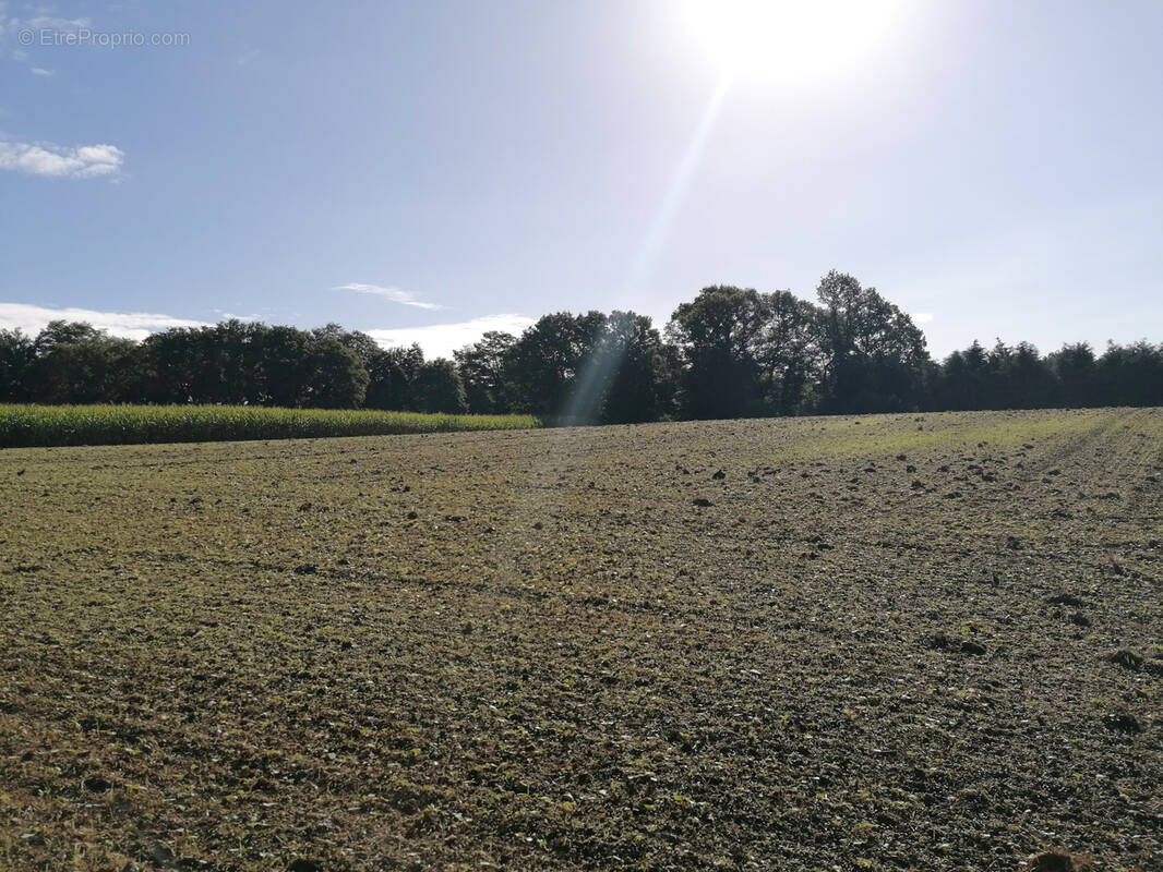 Terrain à MONTERTELOT