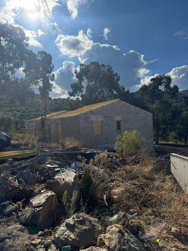 Appartement à OLMETA-DI-TUDA