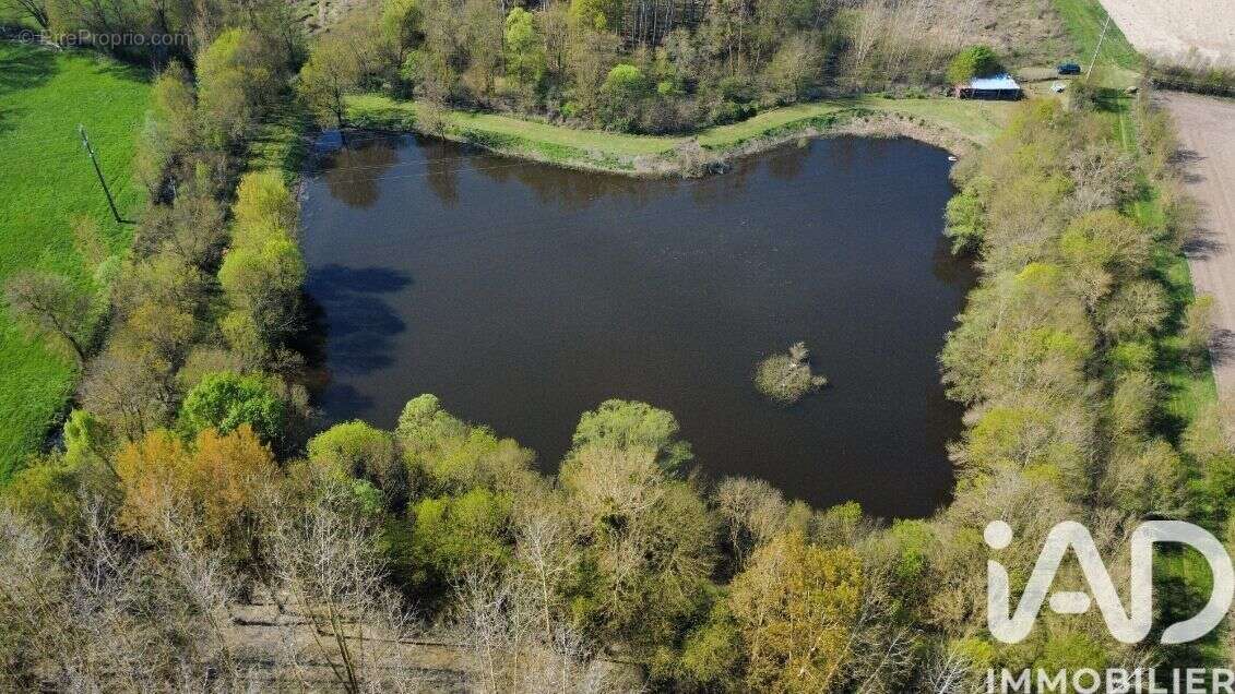 Photo 6 - Terrain à CHINON