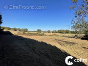 Terrain à MORLAAS