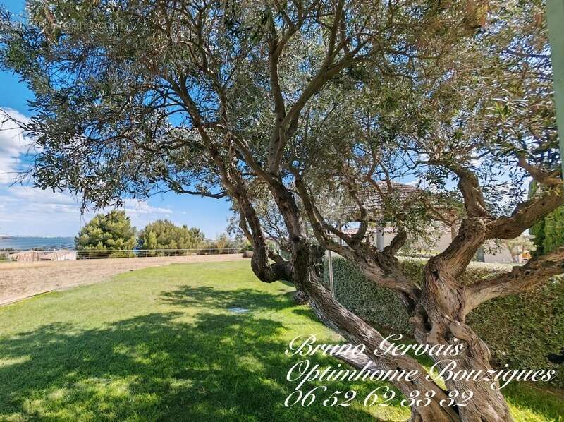 Villa de prestige sur les hauteurs de bouzigues - photo 31