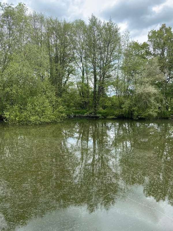 Terrain à LA CHARTRE-SUR-LE-LOIR
