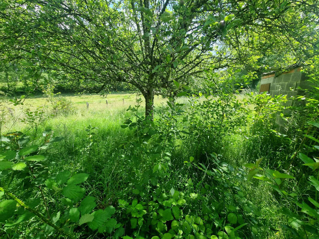Photo 3 - Maison à TOULON-SUR-ARROUX