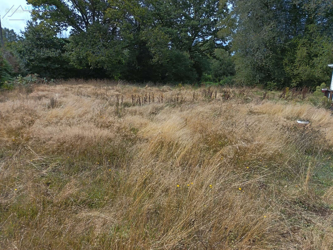 Terrain agricole - photo 3