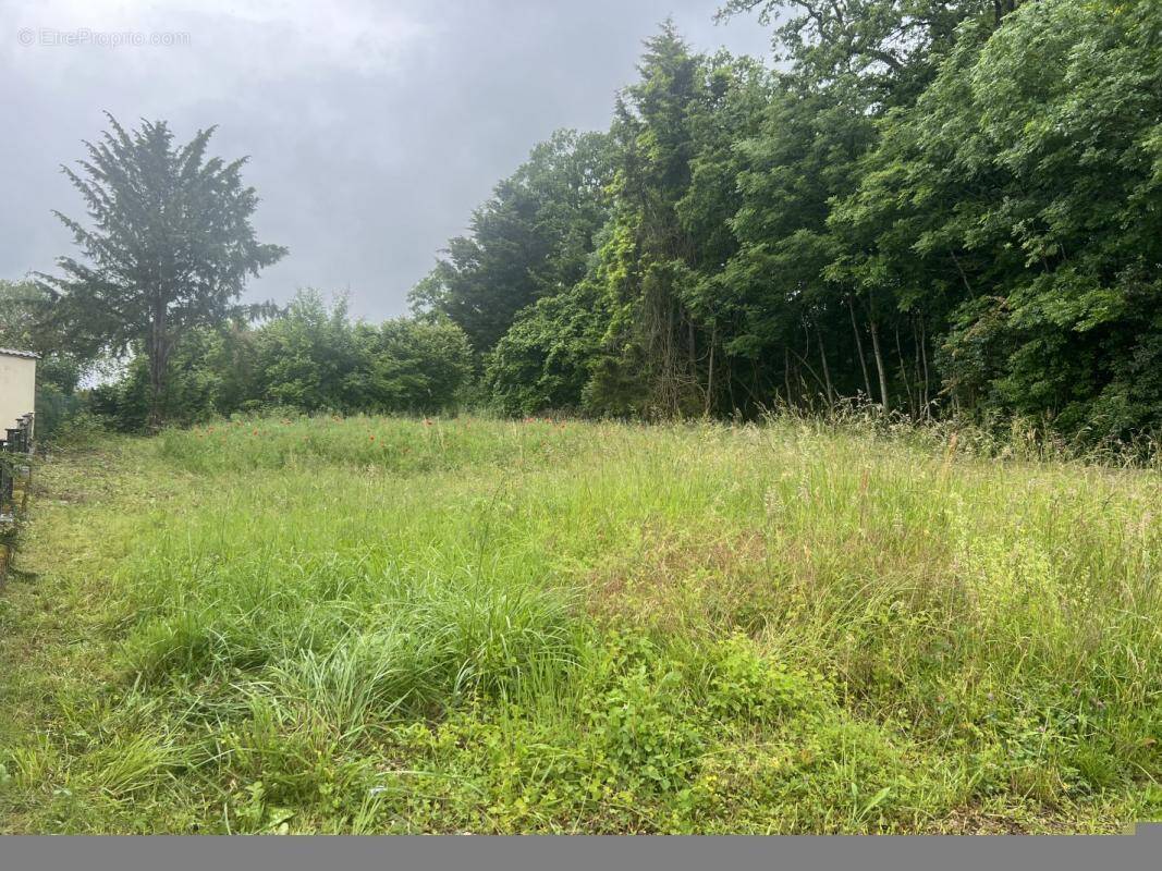 Terrain à PUTTELANGE-AUX-LACS