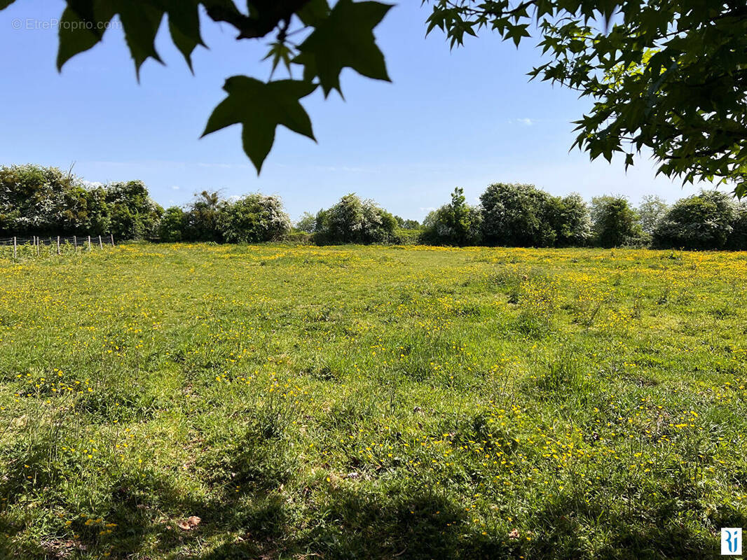 Terrain à ISNEAUVILLE