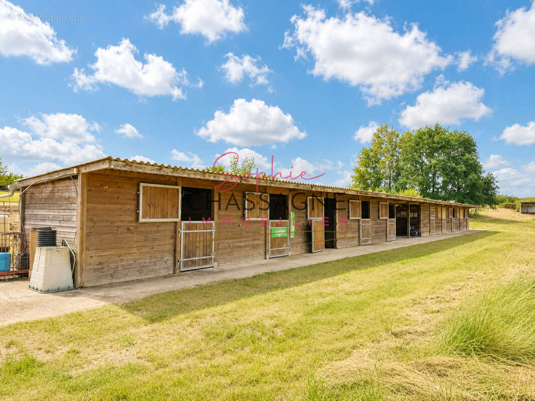 À 30 minutes de Bergerac   Propriété équestre avec 3 logements attenants sur plus de 4 hectares - photo 22