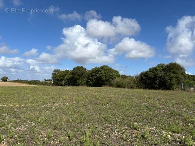 Terrain à TRIZAY