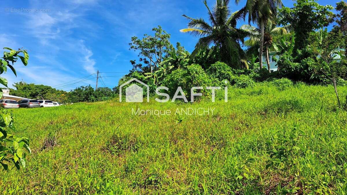 Photo 3 - Terrain à LE FRANCOIS