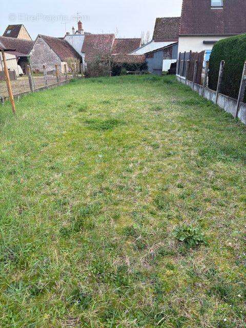 Maison à SELLES-SUR-CHER