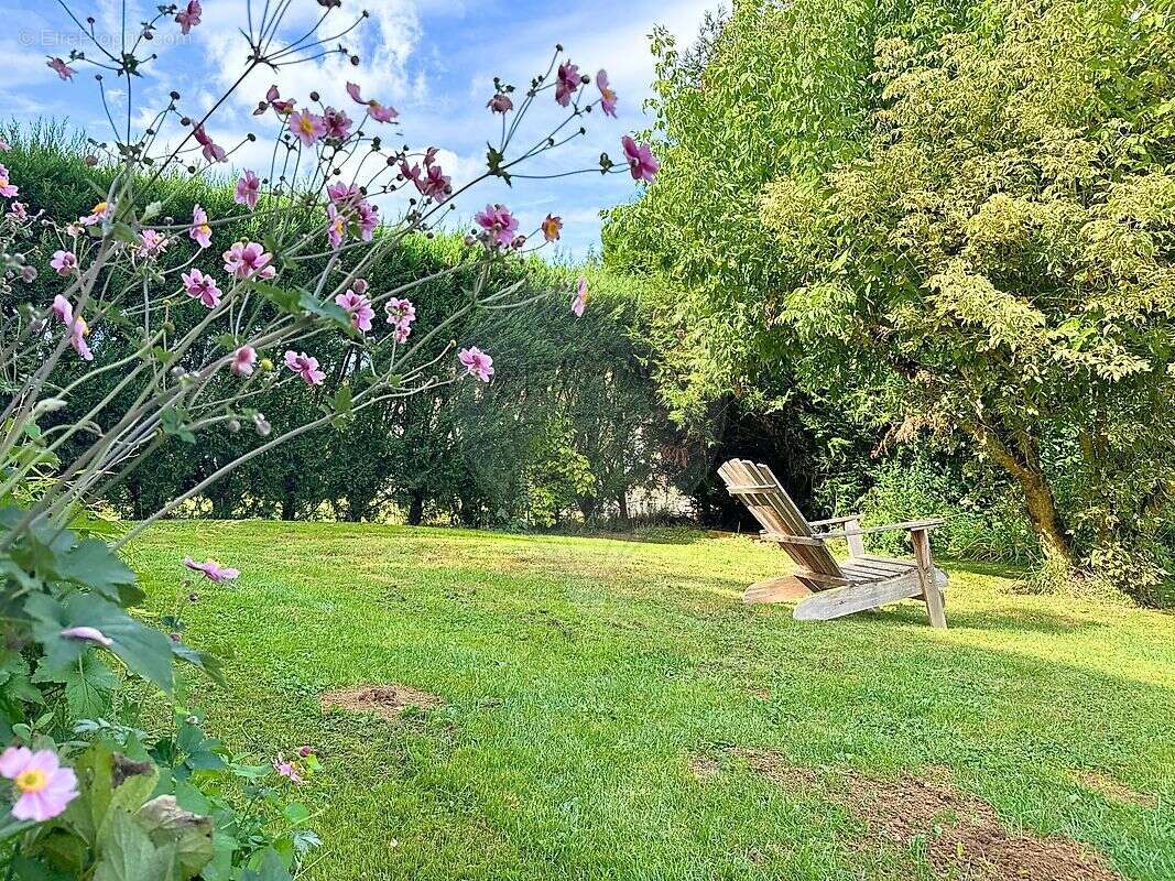 Maison à MONTREUIL-AUX-LIONS