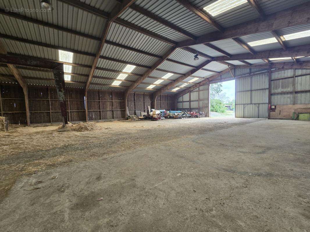 Hangar de 750 m2 - photo 6