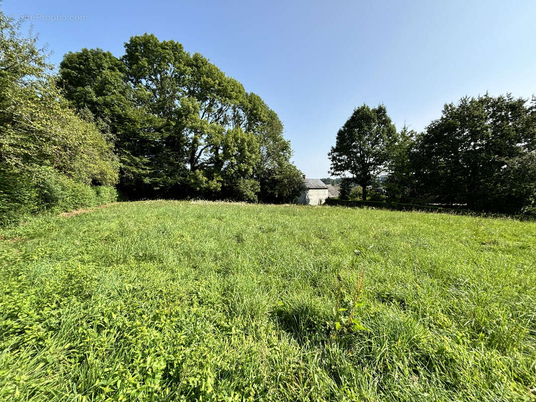 Terrain à SAINT-JAL