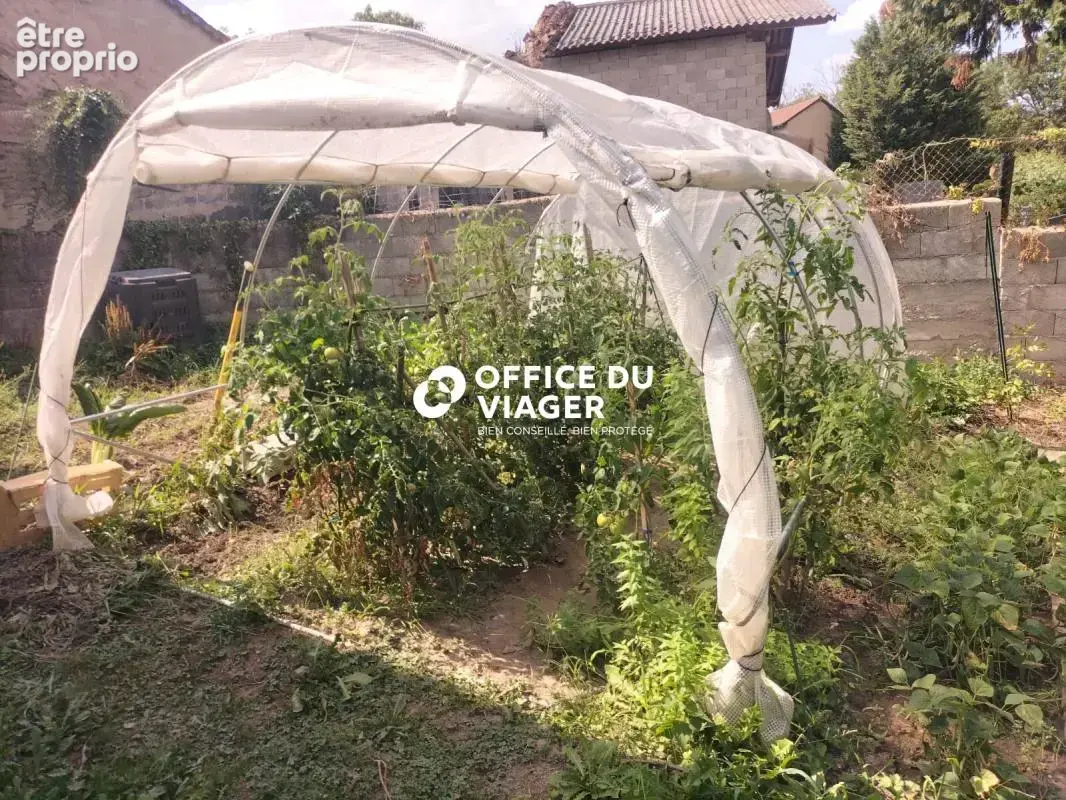 Maison - 3 pièces -79 m² - photo 13