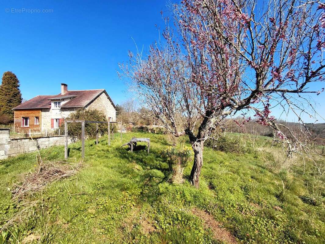 Photo 5 - Maison à SAINT-SAUD-LACOUSSIERE