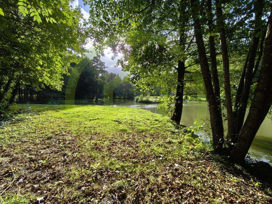 Terrain à LE NOUVION-EN-THIERACHE