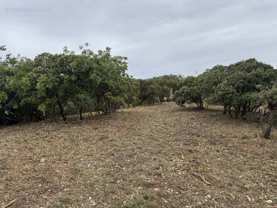 Terrain à VILLENEUVE-LES-AVIGNON