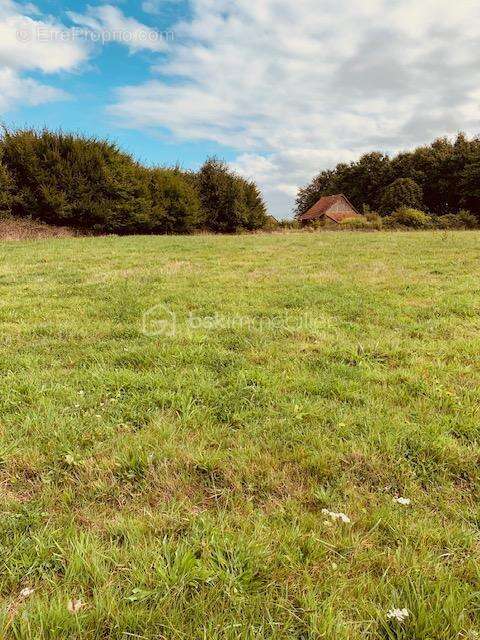 Maison à BELLEVESVRE