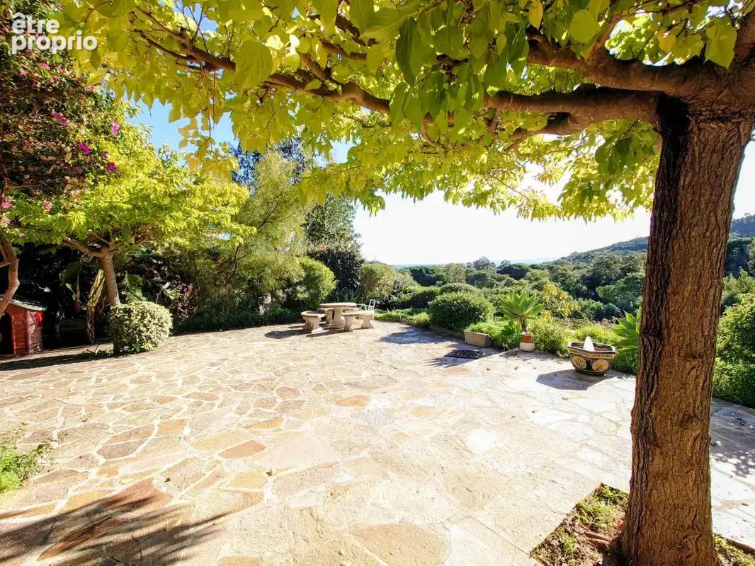 Maison jumelée - photo 7