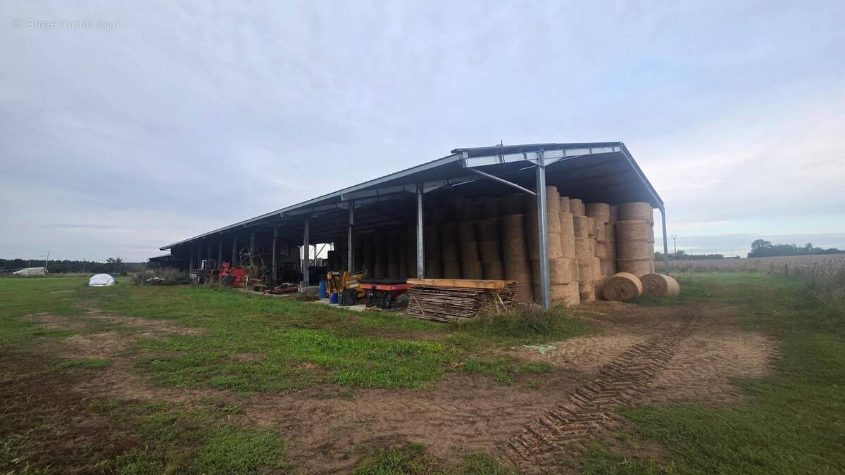 Photo 1 - Terrain à BAUGE