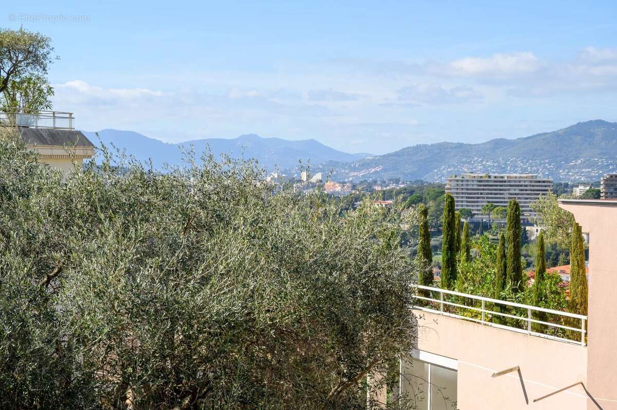 Appartement à LE CANNET