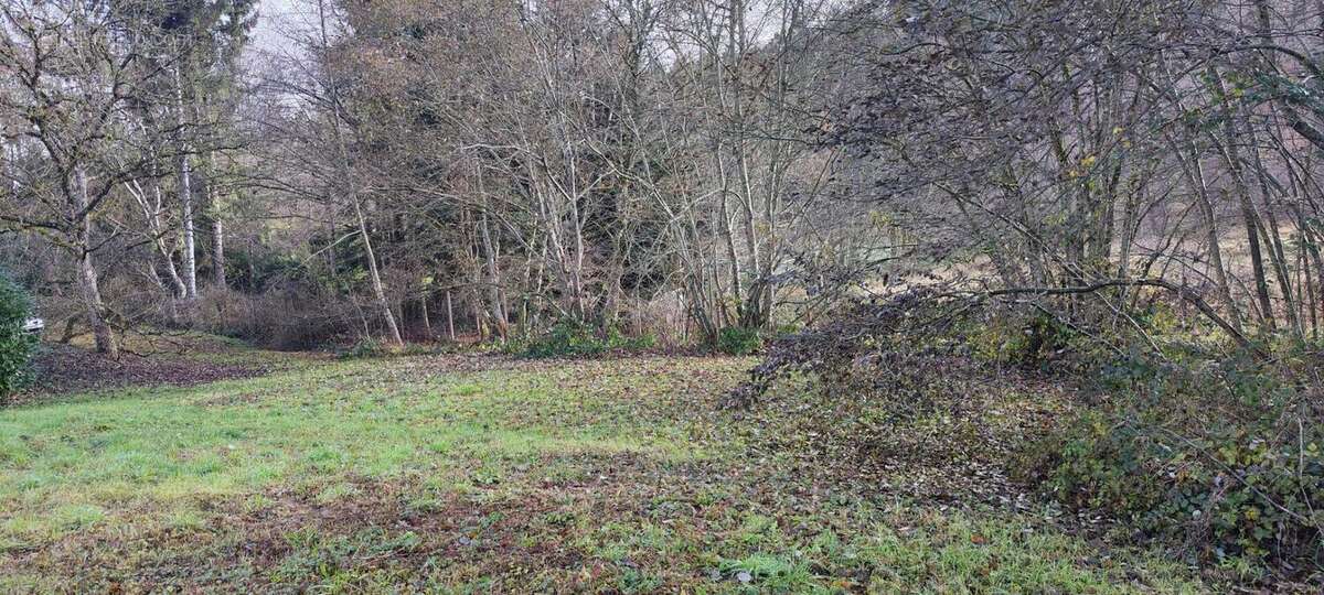 Terrain à ROUGEMONT-LE-CHATEAU