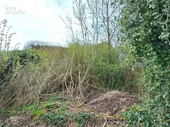 Terrain constructible comprenant 2 parcelles avec possibilité d'édifier 2 maisons - photo 2