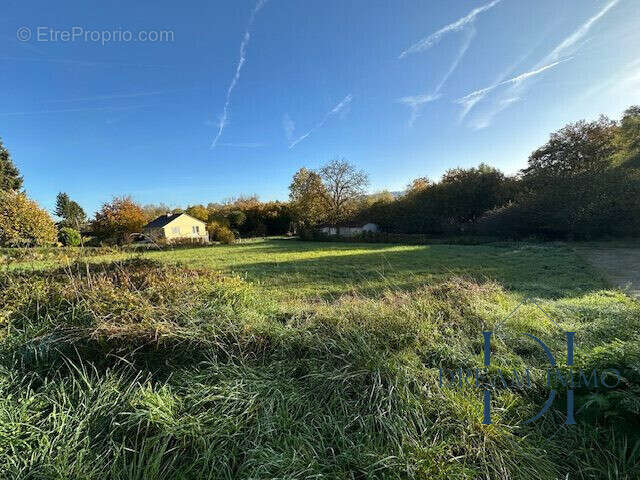 Terrain à BRAY-ET-LU