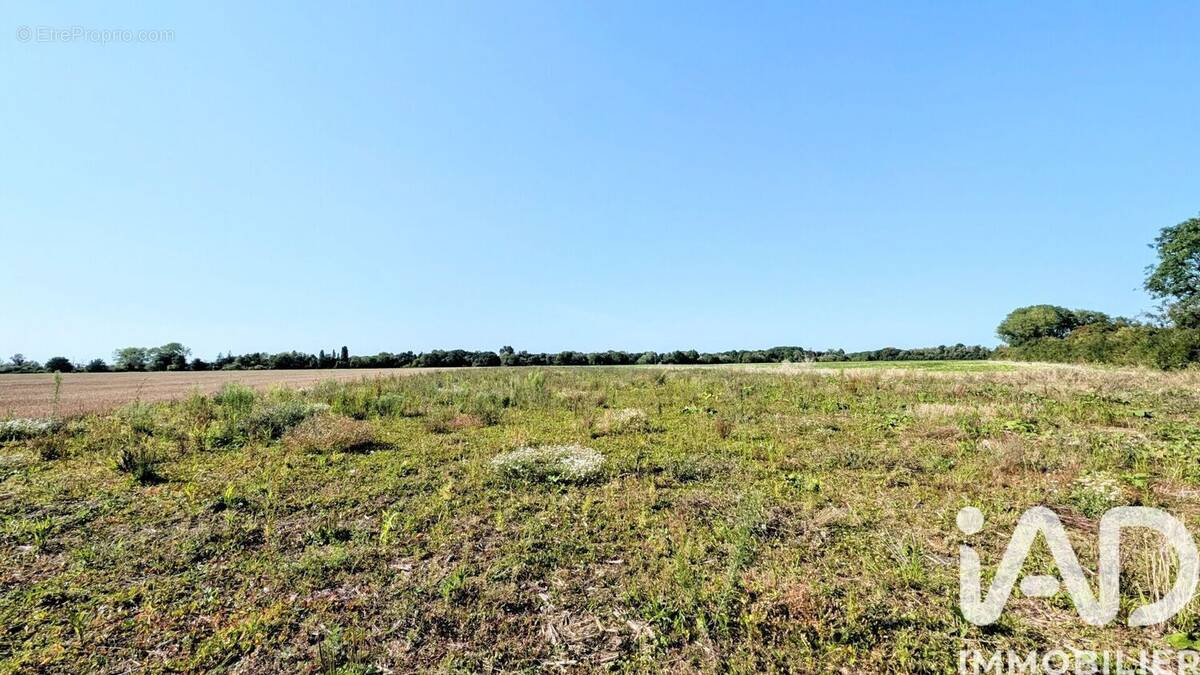 Photo 1 - Terrain à PRECY-SUR-MARNE