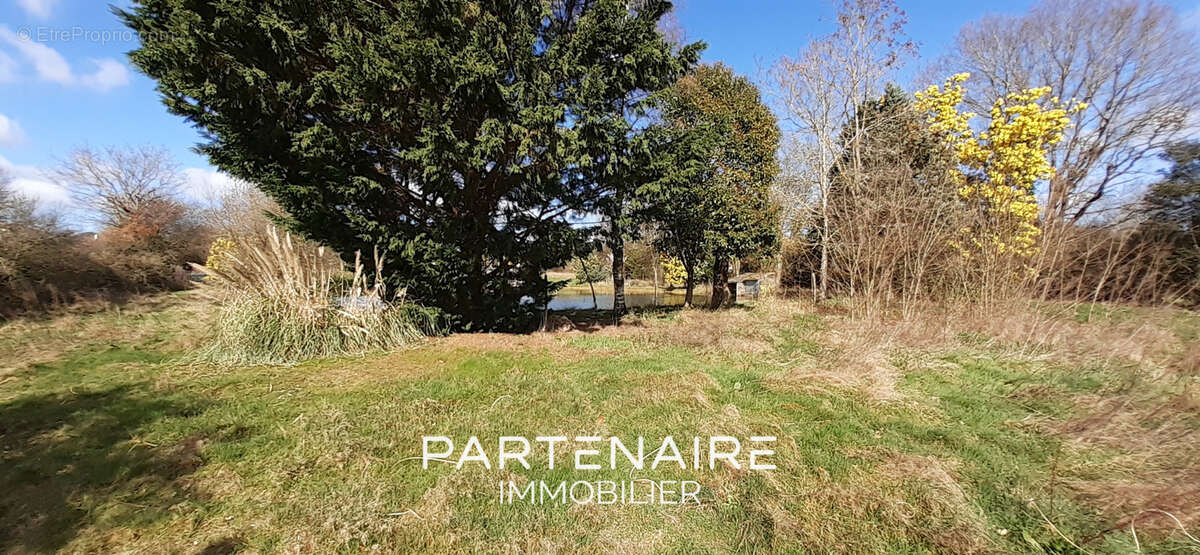Terrain à AVRILLE