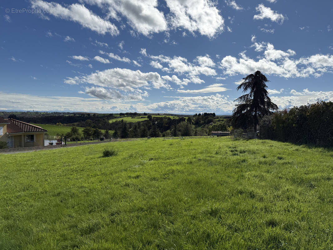 Terrain à SAINT-PAUL-DE-VEZELIN