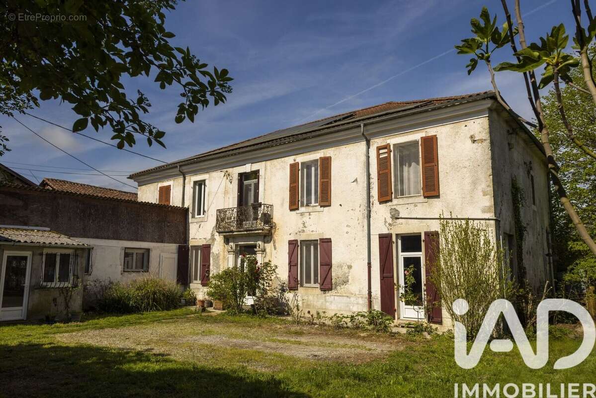 Maison 610 m² à Ardiege  - photo 8